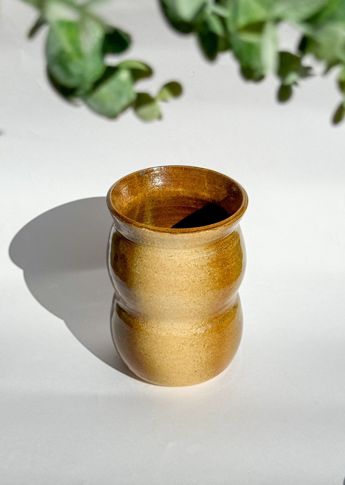 Vaso Decorativo de Cerâmica - Transformação