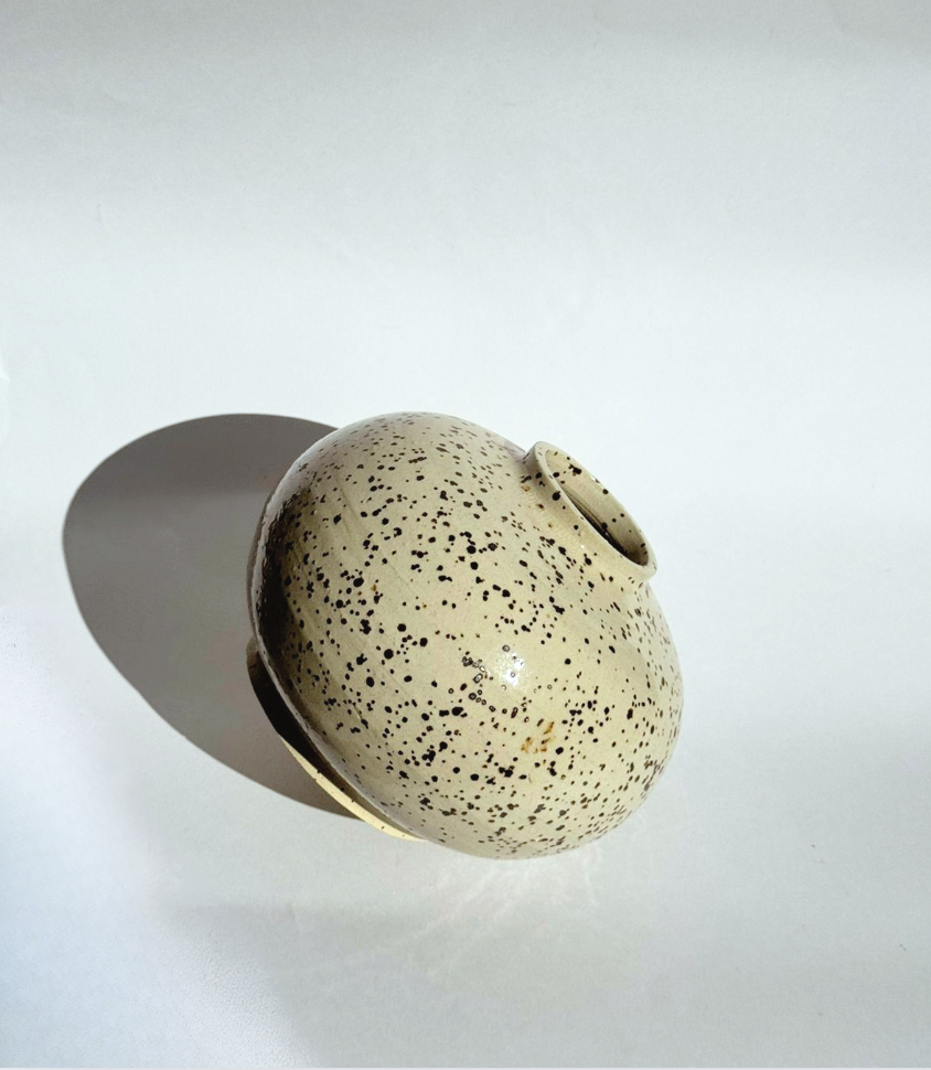 Vaso Decorativo Cerâmica - Pintinhas
